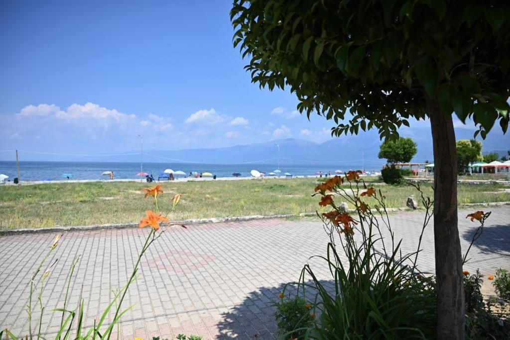 B & B Pogradec * Pogradec